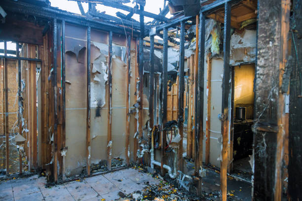 Professional Fire Damage Removal technician working in Needville, TX